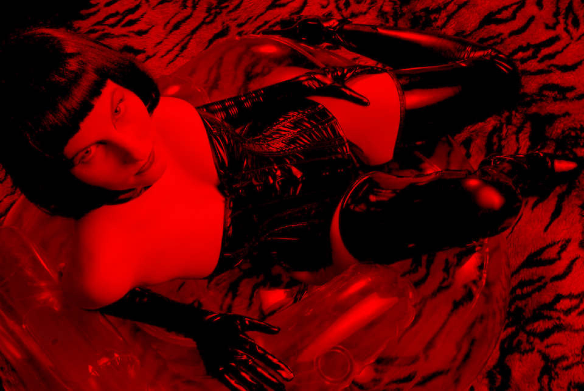 Humble soumis au tel domestique tr&egrave;s docile, pratique et ob&eacute;issant